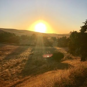 Meet your Posher, Adriana